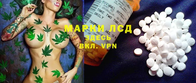 LSD-25 экстази ecstasy  ОМГ ОМГ маркетплейс  Нелидово  цена  